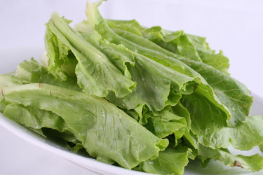 Similar image 11787673