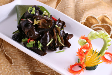 Similar image 11788774