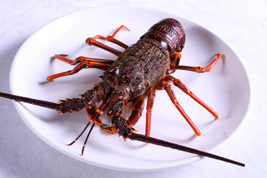 Similar image 11789355