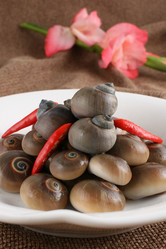 Similar image 11789834