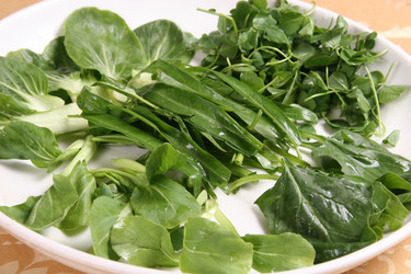 Similar image 11797494