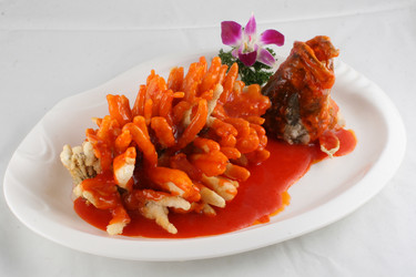 Similar image 11786104