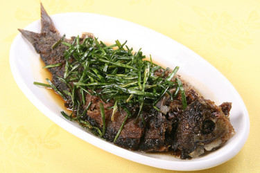 Similar image 11797414