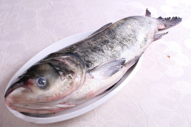 Similar image 11797470