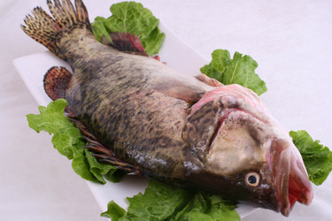 Similar image 11797495