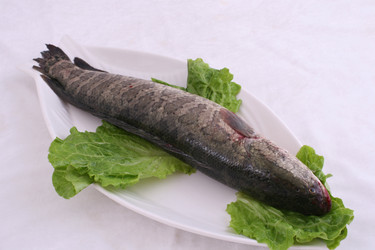 Similar image 11797566