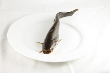 Similar image 11798667