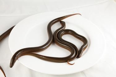 Similar image 11799019