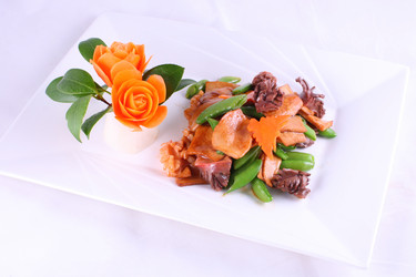 Similar image 11785997