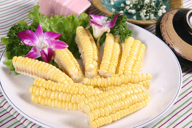 Similar image 11798560