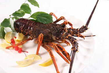 Similar image 11788451