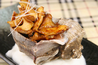 Similar image 11786340