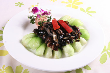 Similar image 11795353