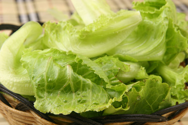 Similar image 11798063