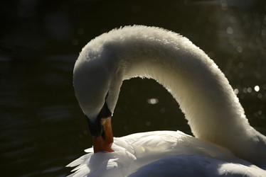 Similar image 11786777