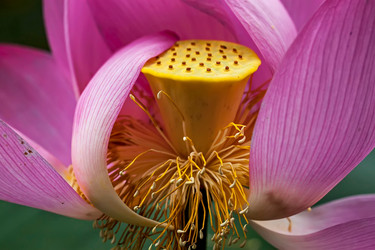 Similar image 11786807