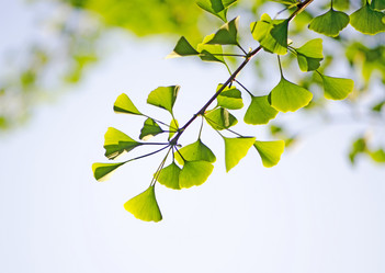 Similar image 11787357