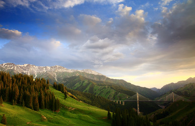 Similar image 11787646