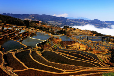 Similar image 11787862