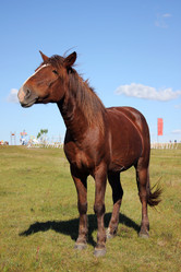 Similar image 11787909