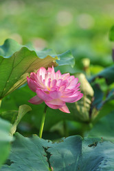 Similar image 11788006