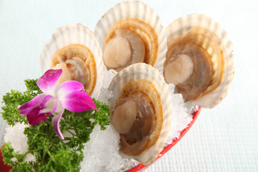 Similar image 11788395