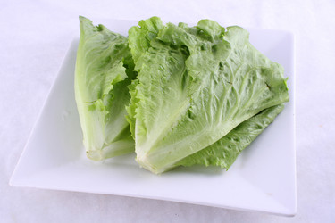 Similar image 11788550