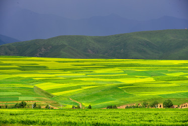 Similar image 11788818