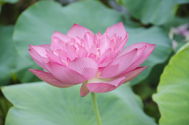 Similar image 11788869