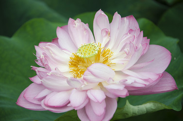 Similar image 11788892