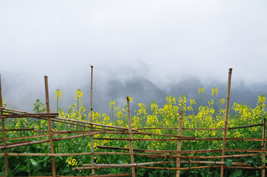 Similar image 11789767