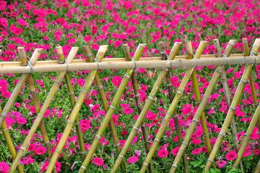 Similar image 11793668