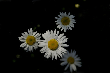 Similar image 11794019