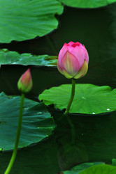 Similar image 11795116