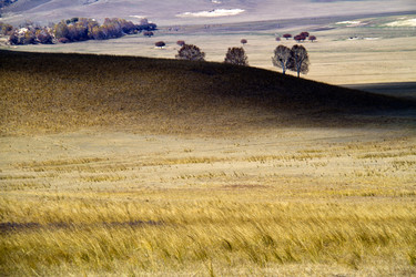 Similar image 11795320