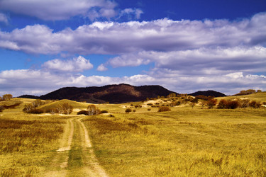 Similar image 11795354