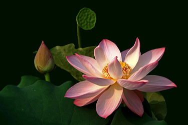 Similar image 11795388