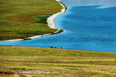 Similar image 11795906