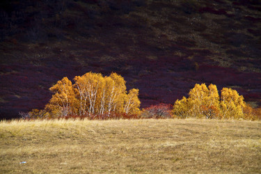 Similar image 11796061