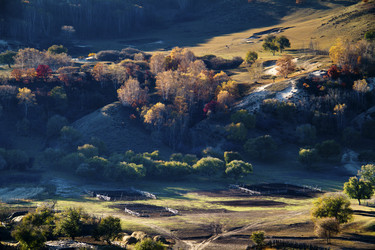 Similar image 11796091