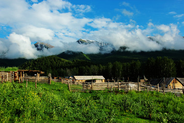 Similar image 11796124