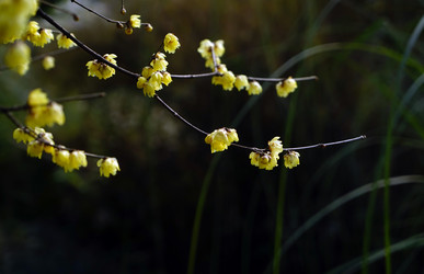 Similar image 11796283