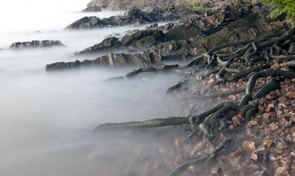 Similar image 11797067