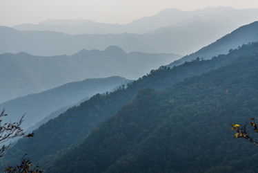 Similar image 11797295