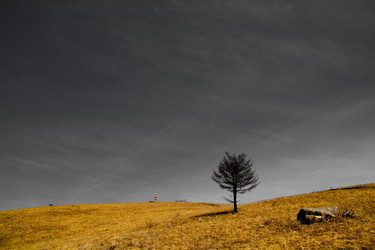 Similar image 11797641