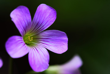 Similar image 11797714