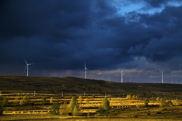 Similar image 11798064