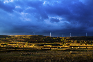 Similar image 11798090