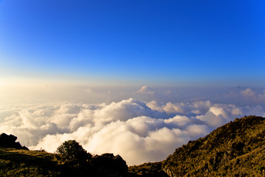 Similar image 11798291