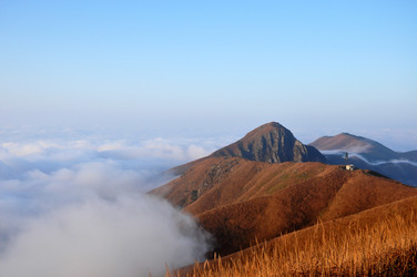 Similar image 11798319